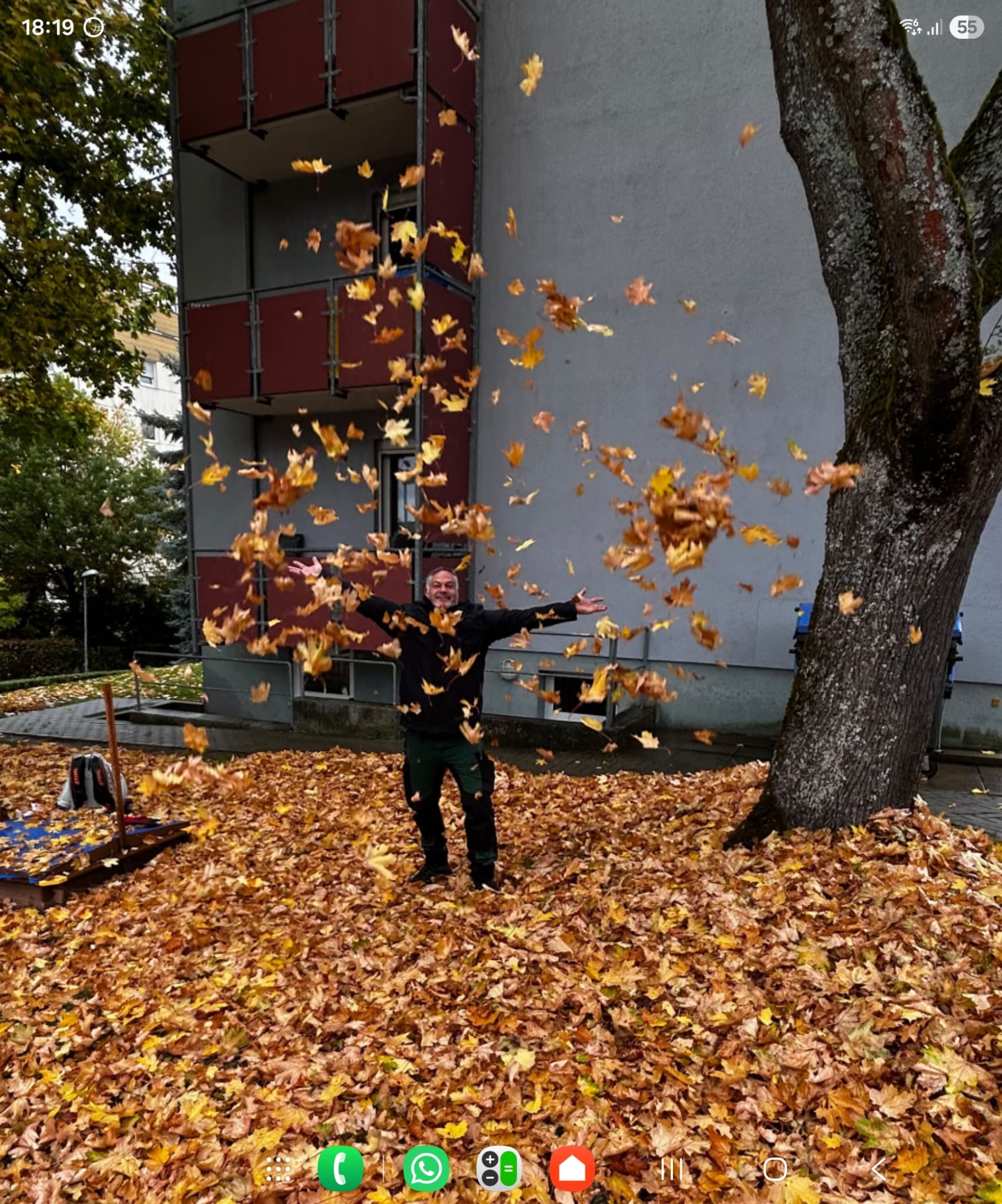 Roland im Herbstfieber