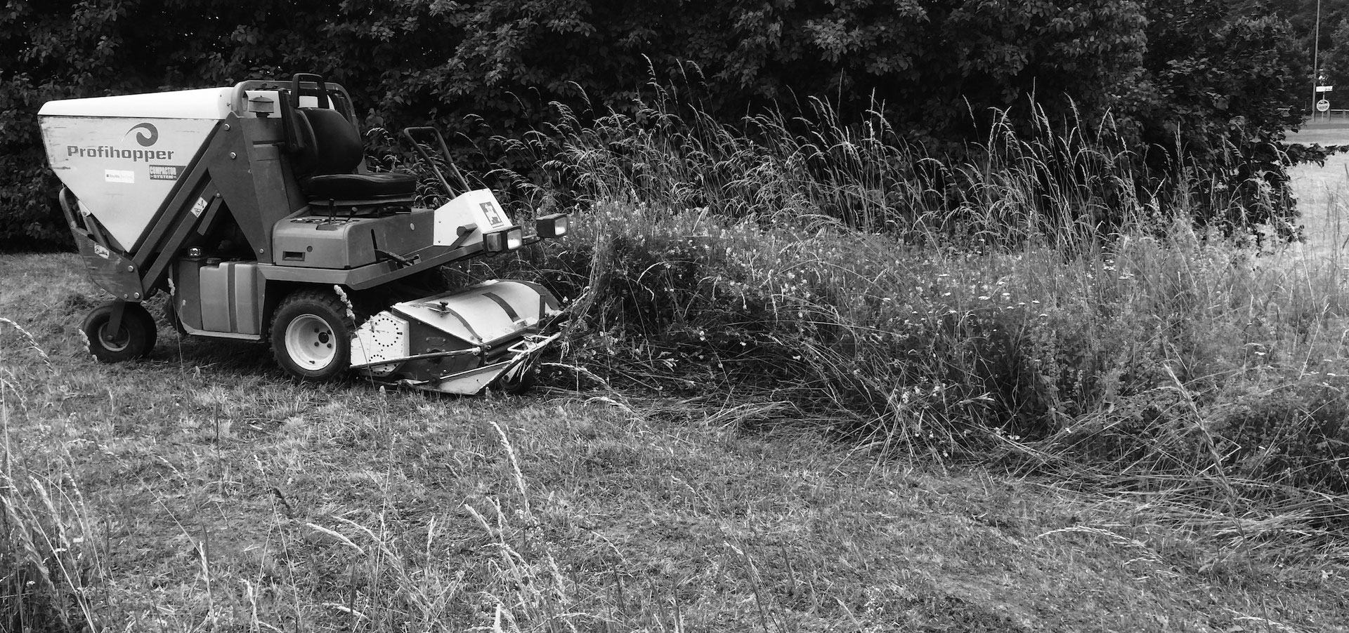 Maeh und Mulcharbeiten